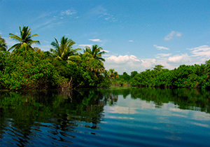  Laguna Puerto Escondido